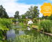 University_of_Leicester_Botanic_Garden_pond with Sun