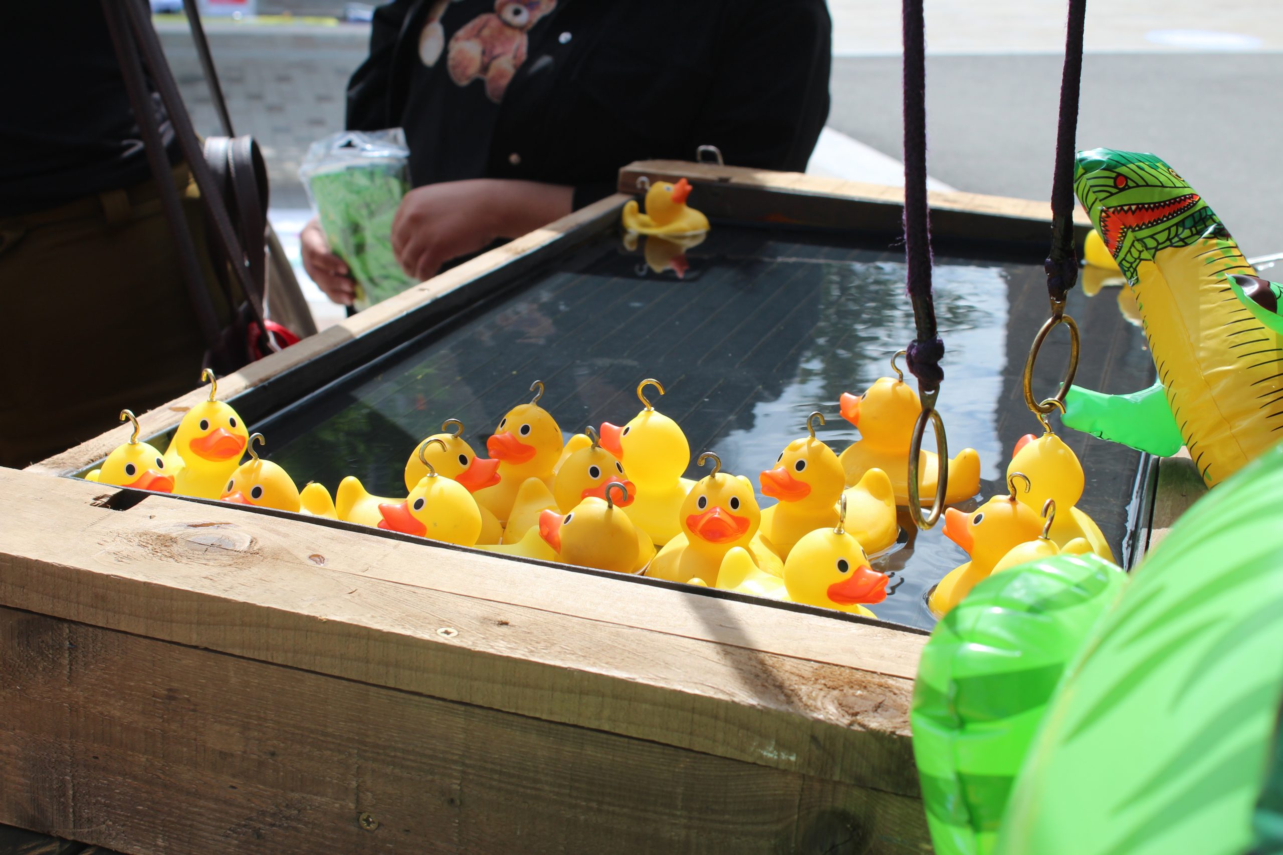 Rubber ducks float in a pool of water.