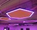 Image of hexagonal acoustic panels with pink lighting around the perimeter within the Salmon Gallery.