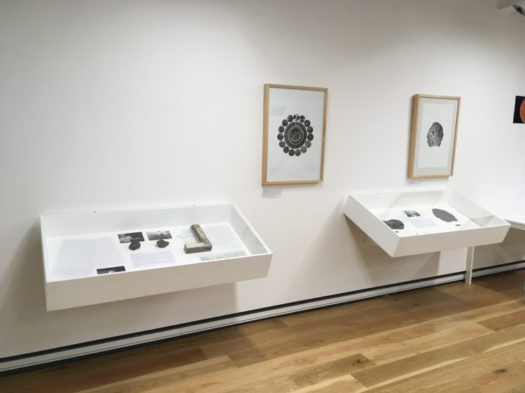 Two display cases and two wall displays showing meteorites.