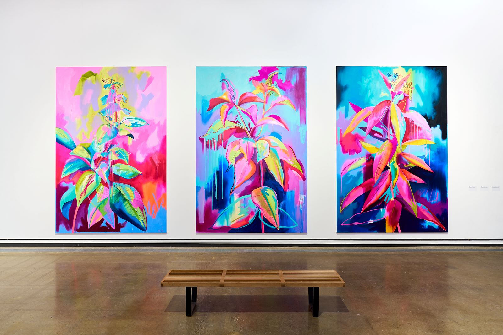 Three huge and colourful botanical paintings on a white gallery wall with a bench in front of it.