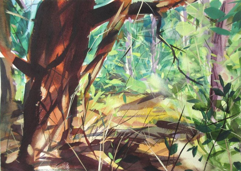 An abstract watercolour painting of a dense green and brown forest.