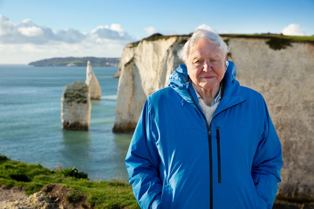 David Attenborough in a blue jacket stood in front of a white cliff and sea-scene.
