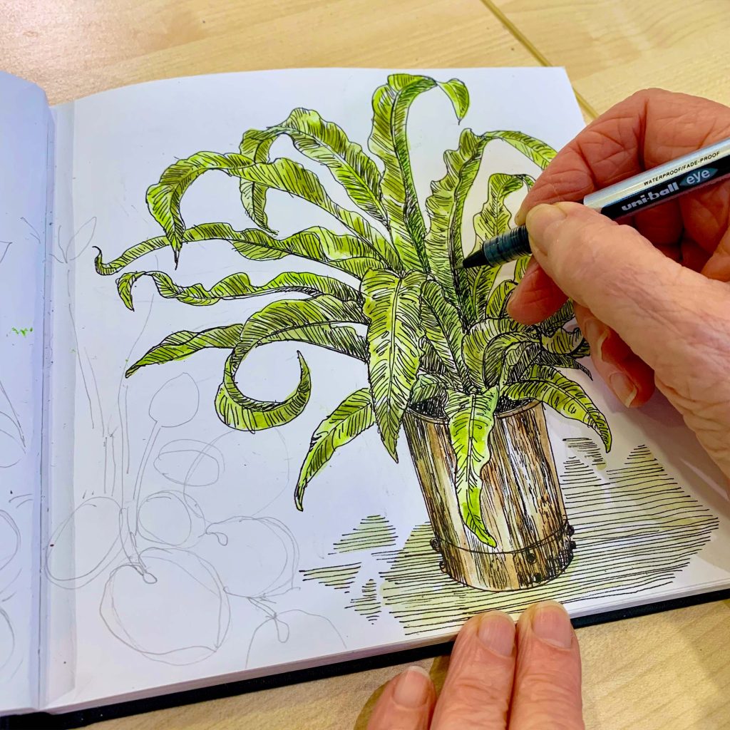 A hand using a pen to draw a sketch of a plant in a sketchbook.